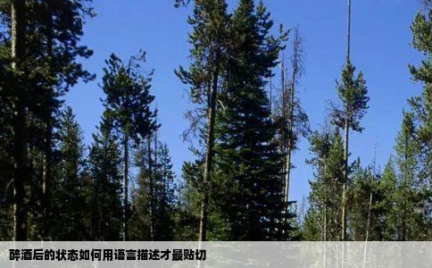 醉酒后的状态如何用语言描述才最贴切