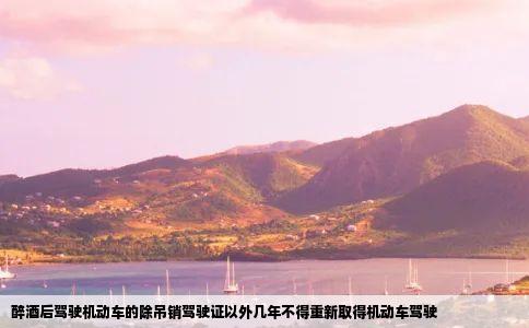 醉酒后驾驶机动车的除吊销驾驶证以外几年不得重新取得机动车驾驶