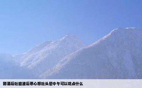 醉酒后吐输液后恶心想吐头晕中午可以吃点什么