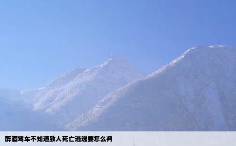 醉酒驾车不知道致人死亡逃逸要怎么判