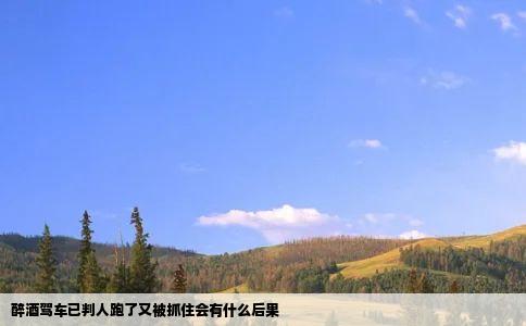 醉酒驾车已判人跑了又被抓住会有什么后果