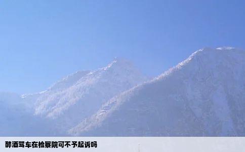 醉酒驾车在检察院可不予起诉吗