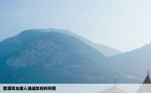 醉酒驾车撞人逃逸怎样判刑啊