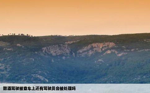 醉酒驾驶被查车上还有驾驶员会被处理吗