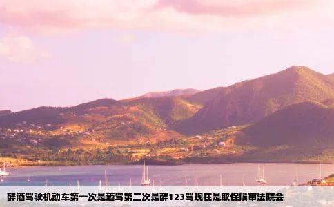 醉酒驾驶机动车第一次是酒驾第二次是醉123驾现在是取保候审法院会