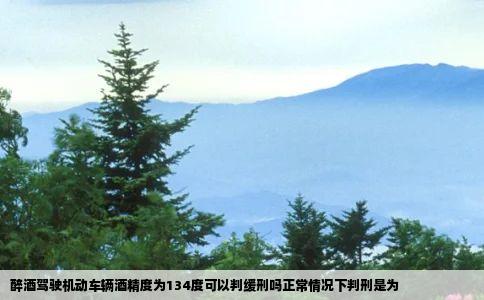醉酒驾驶机动车辆酒精度为134度可以判缓刑吗正常情况下判刑是为