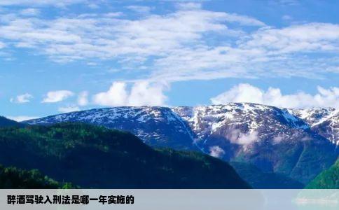 醉酒驾驶入刑法是哪一年实施的