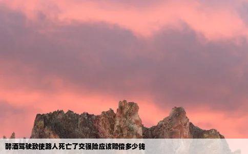 醉酒驾驶致使路人死亡了交强险应该赔偿多少钱