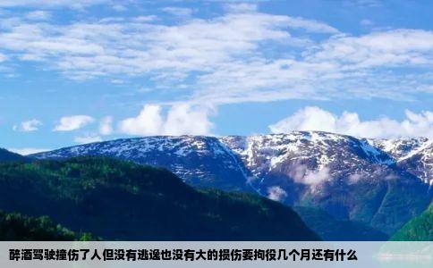 醉酒驾驶撞伤了人但没有逃逸也没有大的损伤要拘役几个月还有什么