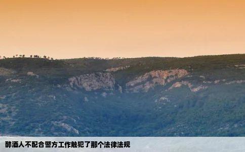 醉酒人不配合警方工作触犯了那个法律法规