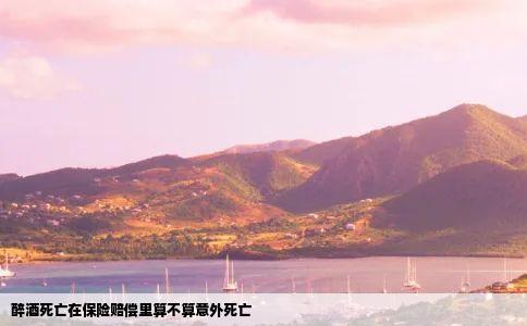 醉酒死亡在保险赔偿里算不算意外死亡