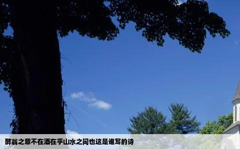 醉翁之意不在酒在乎山水之间也这是谁写的诗
