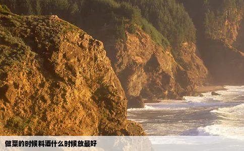 做菜的时候料酒什么时候放最好