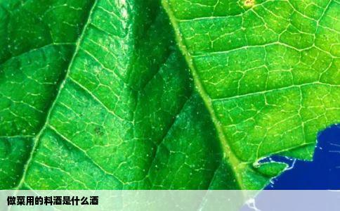 做菜用的料酒是什么酒