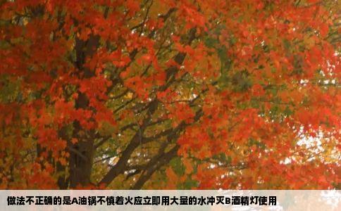 做法不正确的是A油锅不慎着火应立即用大量的水冲灭B酒精灯使用