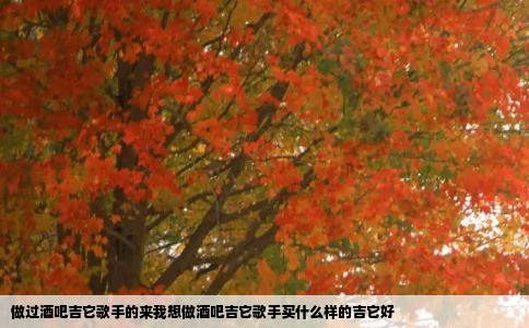 做过酒吧吉它歌手的来我想做酒吧吉它歌手买什么样的吉它好