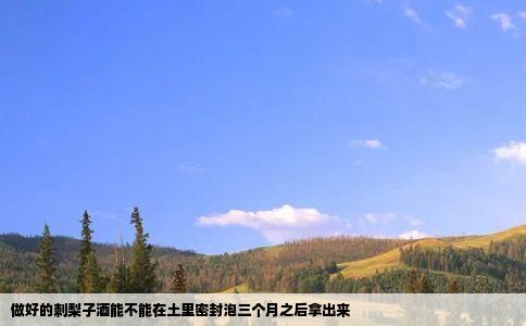 做好的刺梨子酒能不能在土里密封泡三个月之后拿出来