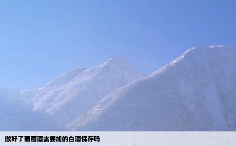 做好了葡萄酒需要加的白酒保存吗