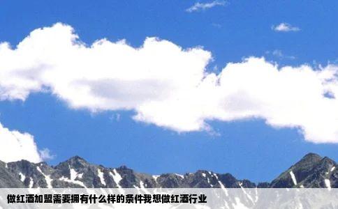 做红酒加盟需要拥有什么样的条件我想做红酒行业