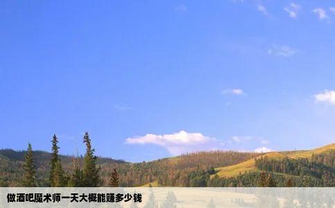 做酒吧魔术师一天大概能赚多少钱