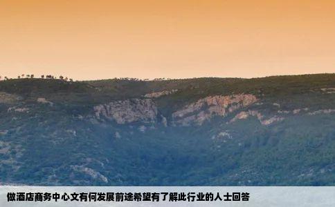 做酒店商务中心文有何发展前途希望有了解此行业的人士回答