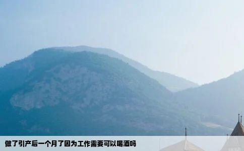 做了引产后一个月了因为工作需要可以喝酒吗