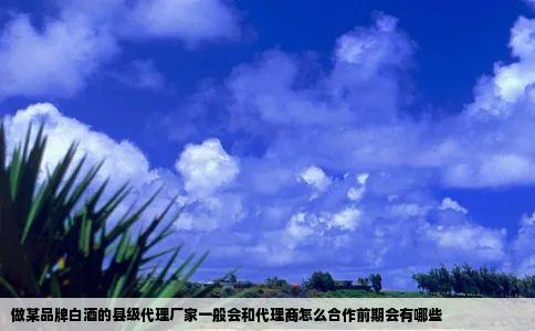 做某品牌白酒的县级代理厂家一般会和代理商怎么合作前期会有哪些