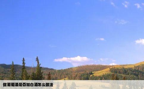做葡萄酒是否加白酒怎么做法
