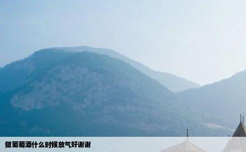 做葡萄酒什么时候放气好谢谢