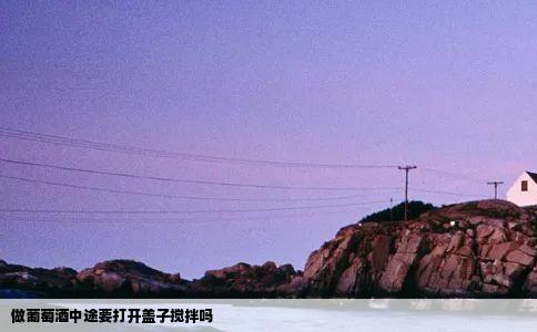 做葡萄酒中途要打开盖子搅拌吗