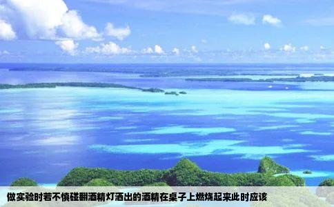 做实验时若不慎碰翻酒精灯洒出的酒精在桌子上燃烧起来此时应该