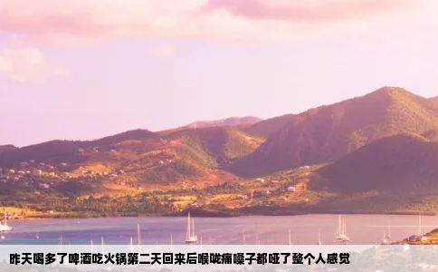 昨天喝多了啤酒吃火锅第二天回来后喉咙痛嗓子都哑了整个人感觉