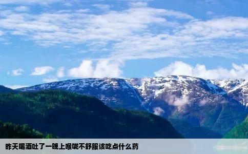 昨天喝酒吐了一晚上喉咙不舒服该吃点什么药