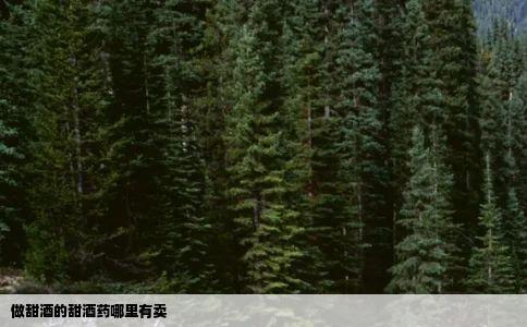 做甜酒的甜酒药哪里有卖