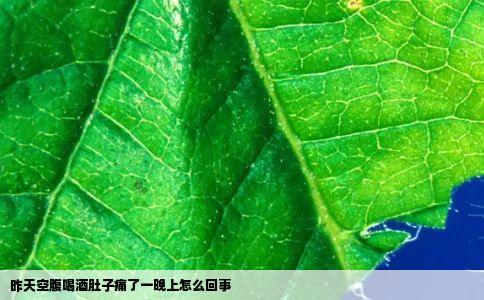 昨天空腹喝酒肚子痛了一晚上怎么回事