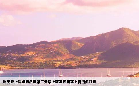 昨天晚上喝点酒然后第二天早上就发现阴茎上有很多红色