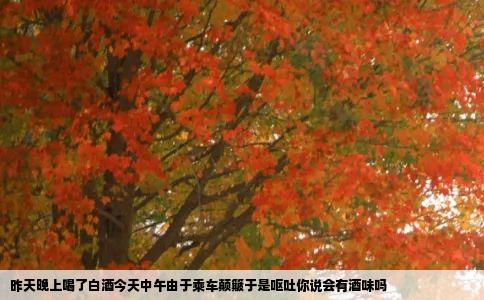 昨天晚上喝了白酒今天中午由于乘车颠簸于是呕吐你说会有酒味吗