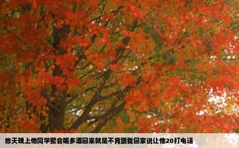 昨天晚上他同学聚会喝多酒回来就是不肯跟我回家说让他20打电话