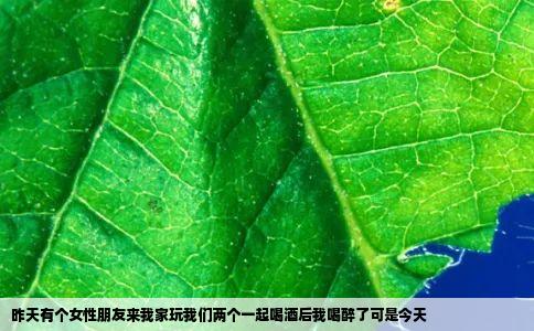 昨天有个女性朋友来我家玩我们两个一起喝酒后我喝醉了可是今天