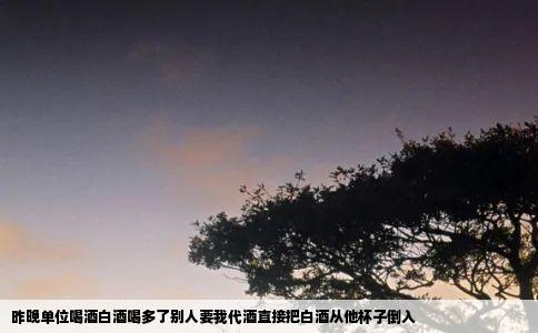 昨晚单位喝酒白酒喝多了别人要我代酒直接把白酒从他杯子倒入