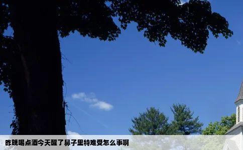 昨晚喝点酒今天醒了鼻子里特难受怎么事啊