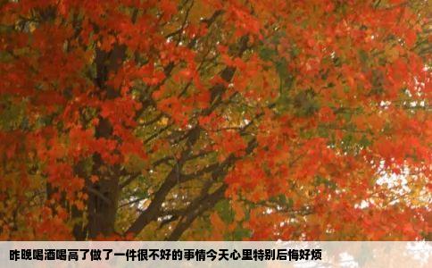 昨晚喝酒喝高了做了一件很不好的事情今天心里特别后悔好烦