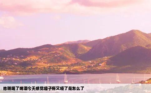 昨晚喝了啤酒今天感觉嗓子疼又哑了是怎么了