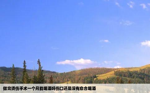 做完烫伤手术一个月能喝酒吗伤口还是没有愈合喝酒