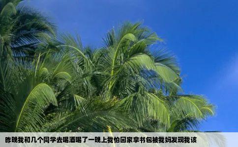 昨晚我和几个同学去喝酒喝了一晚上我怕回家拿书包被我妈发现我该