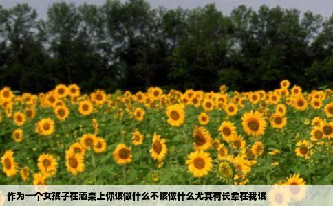 作为一个女孩子在酒桌上你该做什么不该做什么尤其有长辈在我该