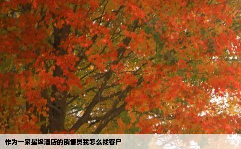 作为一家星级酒店的销售员我怎么找客户