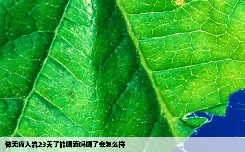 做无痛人流23天了能喝酒吗喝了会怎么样