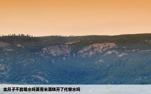 坐月子不能喝水吗要用米酒烧开了代替水吗