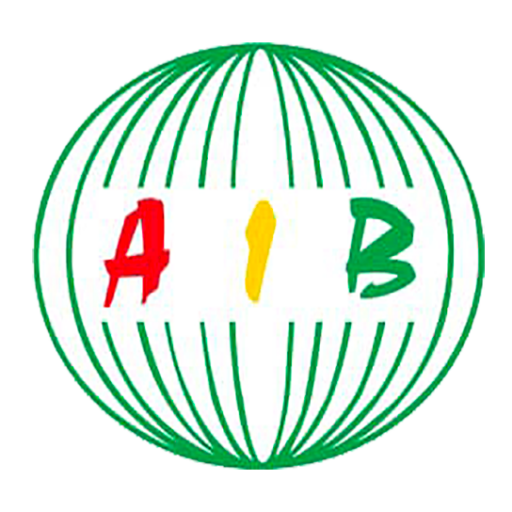 AIB - Agence d'Information du Burkina | Toute l'info en temps réel